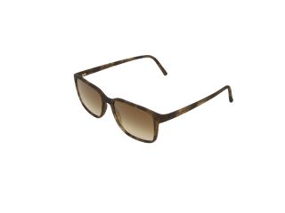 Óculos de sol Neubau BOB T642 Óculos de sol Neubau BOB T642