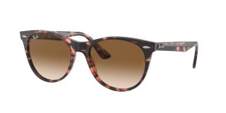 Óculos de sol Ray Ban WAYFARER II 0RB2185 Óculos de sol Ray Ban WAYFARER II 0RB2185