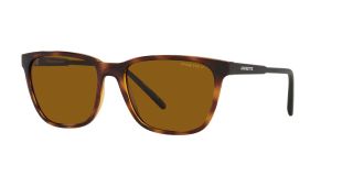 Óculos de sol Arnette 0AN4291 Castanho Quadrada - 1