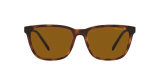 Óculos de sol Arnette 0AN4291 Castanho Quadrada - 2