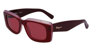 Óculos de sol SALVATORE FERRAGAMO SF1079S Óculos de sol SALVATORE FERRAGAMO SF1079S