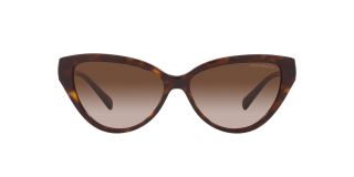 Óculos de sol Emporio Armani 0EA4192 Castanho Borboleta - 2