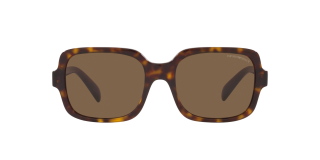Óculos de sol Emporio Armani 0EA4195 Castanho Quadrada - 1