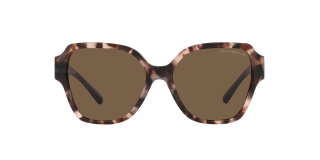Óculos de sol Emporio Armani 0EA4202 Castanho Quadrada - 1