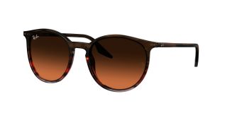 Óculos de sol Ray Ban 0RB2204 Castanho Redonda - 1