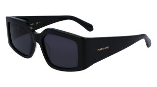 Óculos de sol SALVATORE FERRAGAMO SF1101S Óculos de sol SALVATORE FERRAGAMO SF1101S