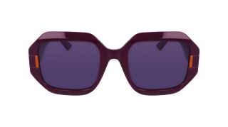 Óculos de sol Karl Lagerfeld KL6124S Lilás Retangular - 2