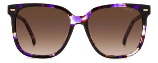 Óculos de sol Carrera CARRERA 3002/S Castanho Quadrada - 2