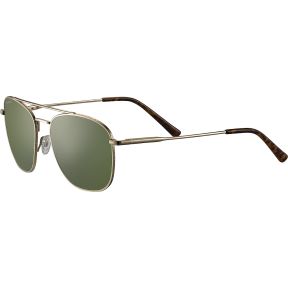 Óculos de sol Serengeti SS598003 CARROLL LARGE Dourados Quadrada - 1