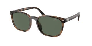 Óculos de sol Polo Ralph Lauren 0PH4208U Castanho Quadrada - 1