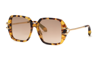 Óculos de sol Roberto Cavalli SRC030 Castanho Quadrada