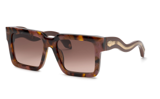 Óculos de sol Roberto Cavalli SRC055 Castanho Quadrada