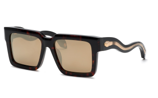 Óculos de sol Roberto Cavalli SRC055 Castanho Quadrada