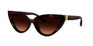 Óculos de sol D&G 0DG4497 Castanho Borboleta - 1