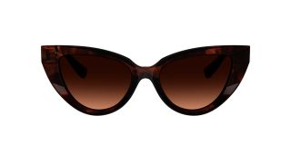 Óculos de sol D&G 0DG4497 Castanho Borboleta - 2