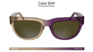 Óculos de sol Calvin Klein CKJ25600S Castanho Borboleta - 2