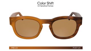 Óculos de sol Calvin Klein CKJ25601S Castanho Quadrada - 2