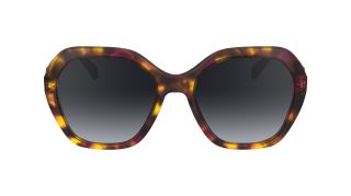 Óculos de sol Longchamp LO759S Castanho Retangular - 1