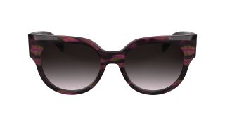 Óculos de sol Longchamp LO779S Castanho Redonda - 2