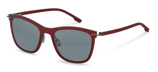 Óculos de sol Rodenstock R3349 Cinzento Borboleta