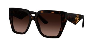 Óculos de sol D&G 0DG4438 Castanho Tamanho: 55X17