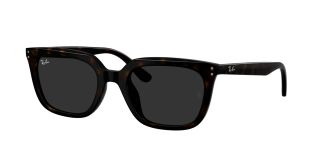 Óculos de sol Ray Ban 0RB4439D Castanho Tamanho: 54X21