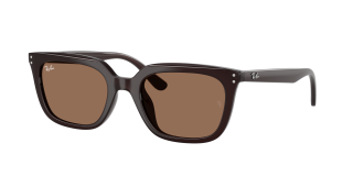 &Oacute;culos de sol Ray Ban 0RB4439D Castanho Quadrada