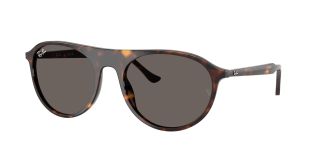 &Oacute;culos de sol Ray Ban 0RB2215 Castanho Quadrada
