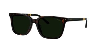 Óculos de sol Polo Ralph Lauren 0PH4235U Castanho Tamanho: 54X18