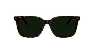 Óculos de sol Polo Ralph Lauren 0PH4235U Castanho Quadrada - 2