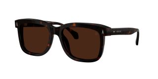 Óculos de sol Moncler 0ME6018 Castanho Tamanho: 54X17