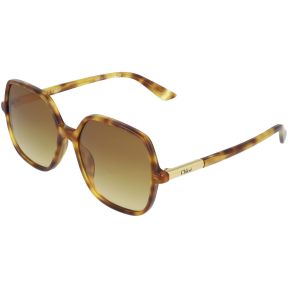 Óculos de sol Chloé CH0362S Castanho Quadrada - 1