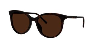 Óculos de sol D&G 0DG4540 Castanho Tamanho: 55X18
