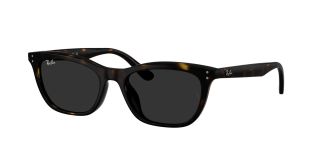 Óculos de sol Ray Ban 0RB4474D Castanho Tamanho: 54X18