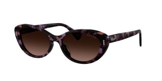 Óculos de sol Ralph Lauren 0RA5350U Castanho Tamanho: 53X16