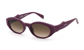Óculos de sol Zadig & Voltaire SZV502 Rosa/Vermelho-Púrpura Ovalada