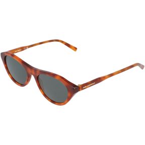 Óculos de sol Karl Lagerfeld KL6246S Castanho Ovalada - 1