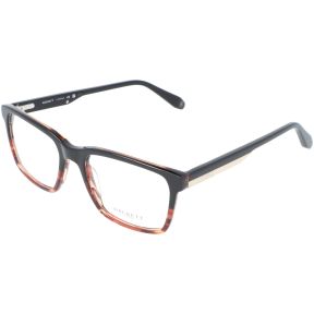 Óculos graduados Hackett London HEK1435 Castanho Retangular - 1