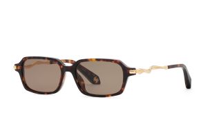 Óculos de sol Roberto Cavalli SRC209M ROBERTO CAVALLI Castanho Quadrada