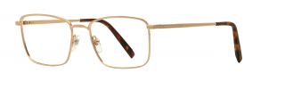 Óculos Vuillet Vega PRESTIGE 1815 Dourados Quadrada