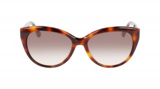 Óculos de sol Calvin Klein CK22520S Castanho Borboleta - 2