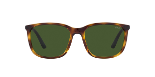 Óculos de sol Polo Ralph Lauren 0PH4185U Castanho Quadrada - 1