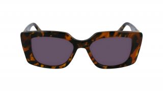 Óculos de sol Karl Lagerfeld KL6125S Castanho Retangular - 2